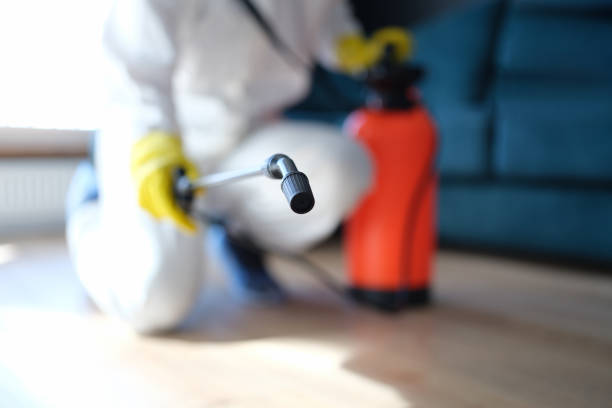 Forensic Mold Investigation in Mount Holly, NC